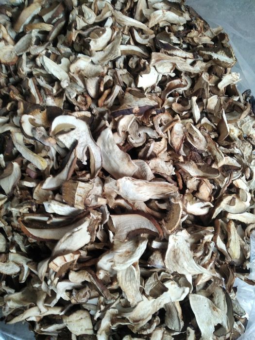 Прясна и суха борова манатарка, пачи крак