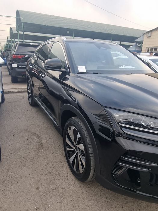 BYD chipion 605 ful