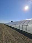 Construim solarii pentru legume si flori la cheie