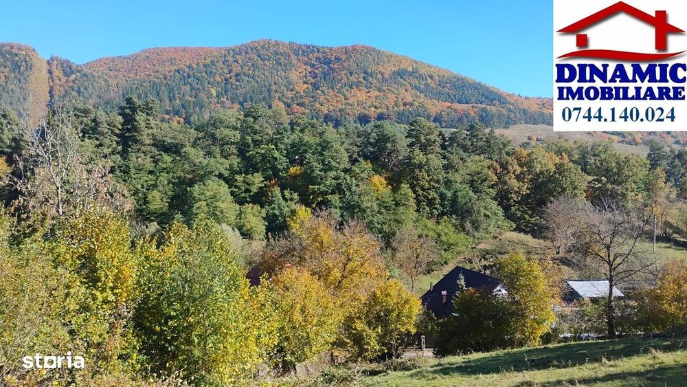 3600 mp teren intravilan, sat Bistrita, 19 Euro/mp