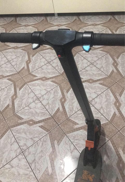 Trotineta electrica !
