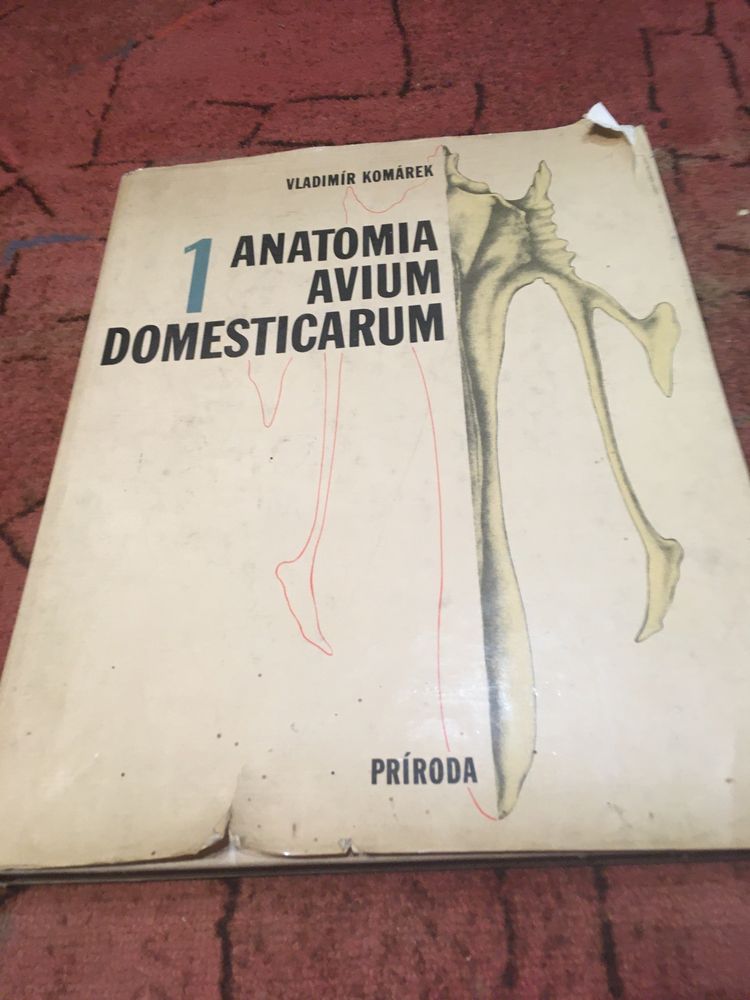 Атлас по анатомия