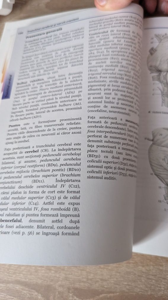 Anatomia sistemului nervos central, Werner Kahle, editura Callistro