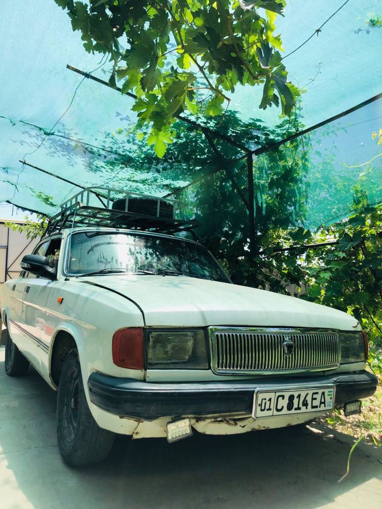 Volga Gaz 310290