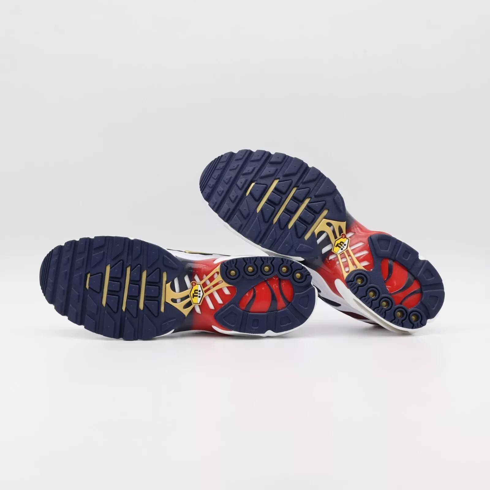 NIKE AIR MAX TN PARIS ‘PSG’ 40, 41, 42, 43, 44, 45