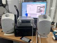 Boxe Bowers Wilkins LM1