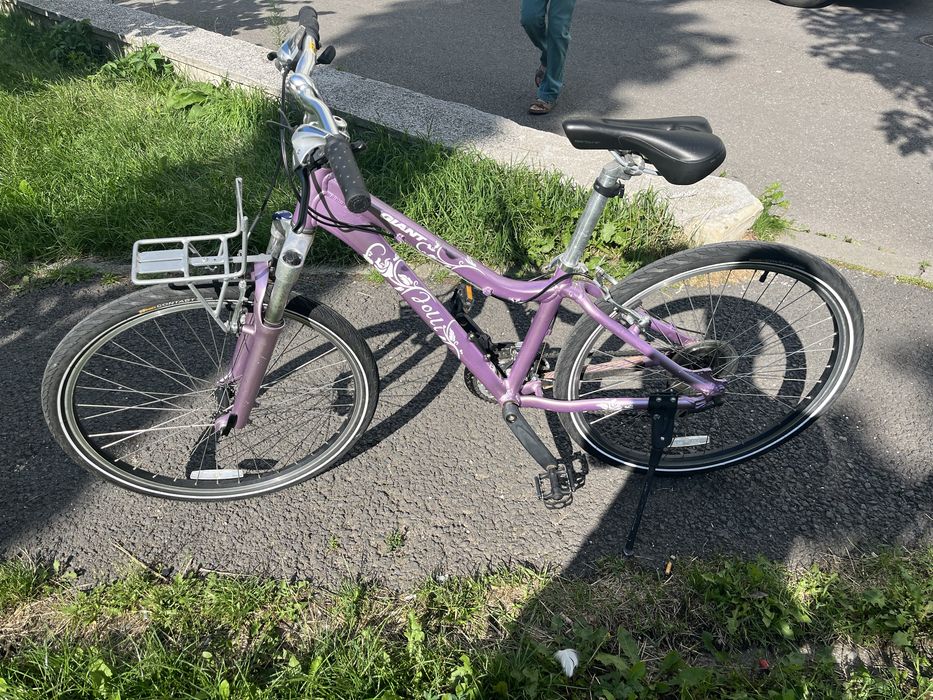Giant Jolly, size XS, 26 inches wheels