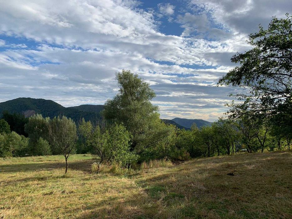 Vand teren zona Nehoiu , Basca Rozaliei , Vinetisu
