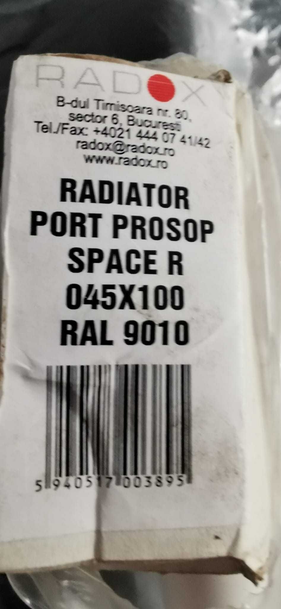 Radiatoare Port Prosop Radox Space R 045x100 RAL9010