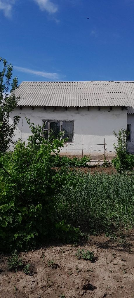Продаю дом в дачном массиве..