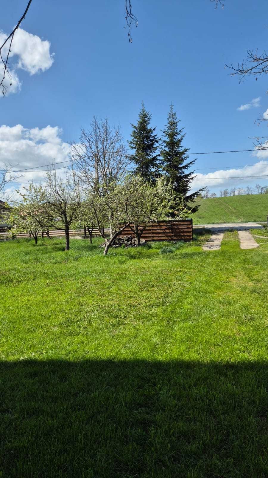 Casa regim P+E compusa din 4 camere si dependinte si teren de 7000 mp