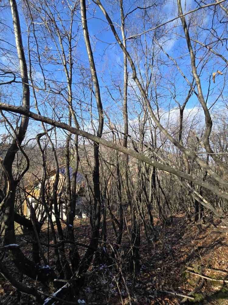 Продава се Парцел в с. Гълъбово, Област Пловдив - 513 кв.м за 60 €/кв.м - Снимка #5