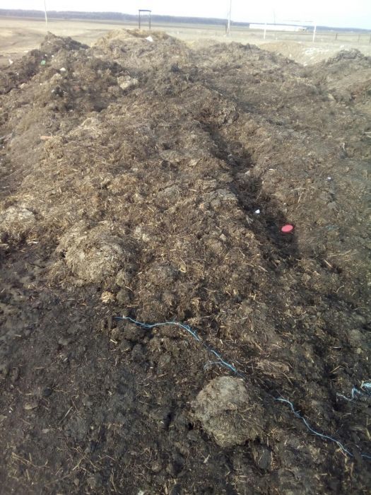 Mranita gunoi de grajd