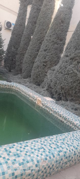 Gazon ekish ,archa kesish,archa ekish xizmati