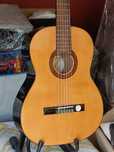 Chit. Hofner Sienna