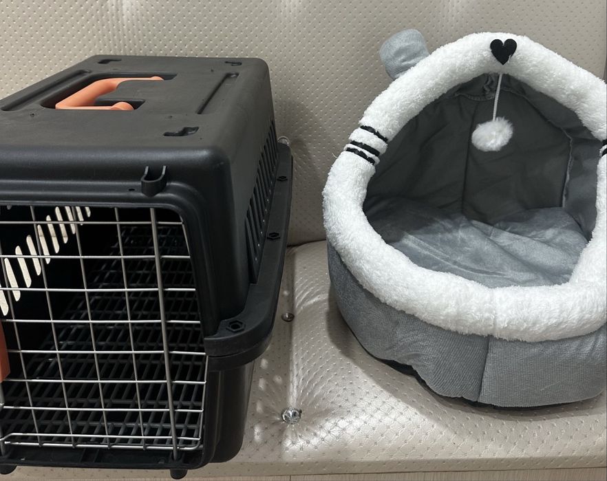 Продам набор для кошки/котёнка - всё новое!