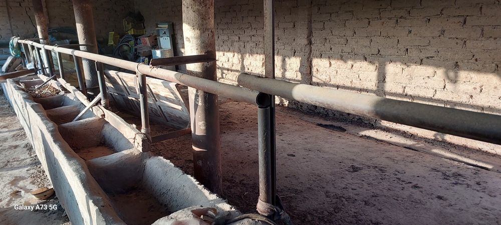 17 сотих ховли уй сотилади