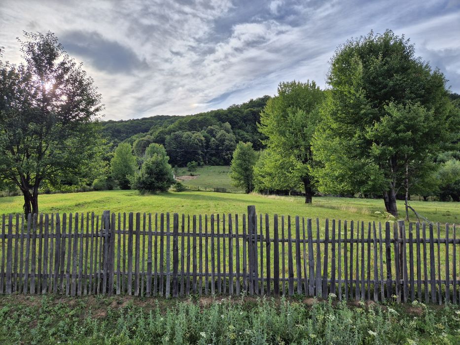 Teren Intravilan 1900 mp