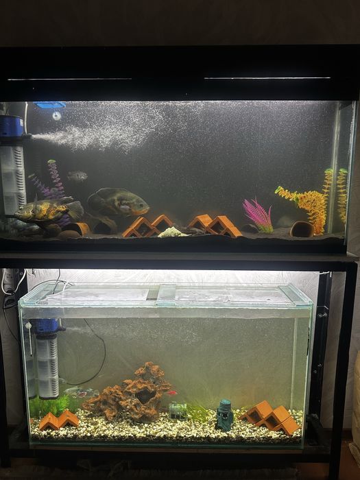 Аквариумы 2 штуки