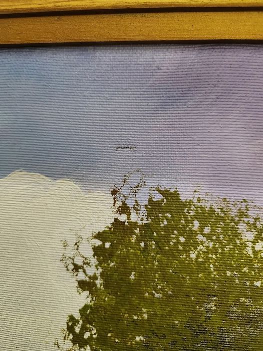 Картина рисувана върху платно