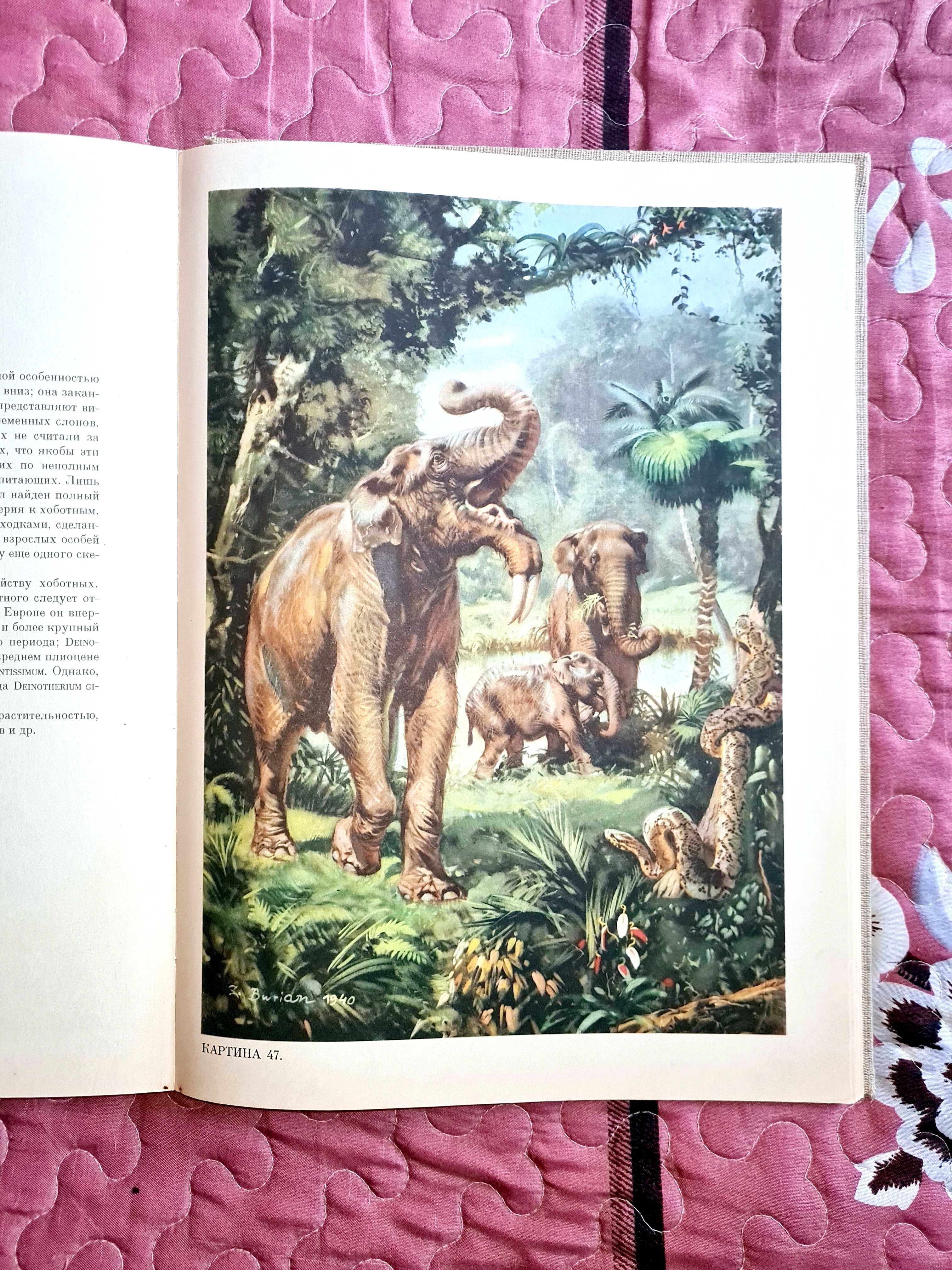 Продам старую книгу 1963 года о доисторическом животном мире .