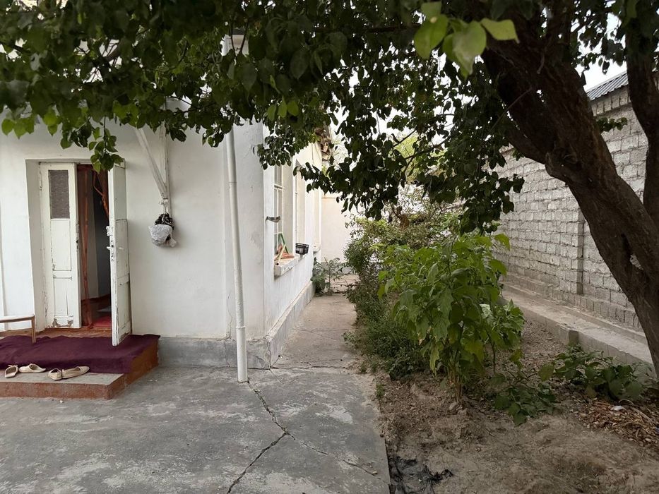 Shahar Masjid kochasida tayyor uy