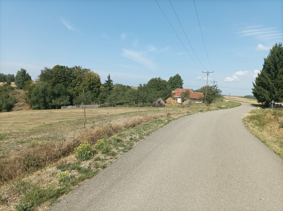 Vând 7500 mp teren in Șinteu