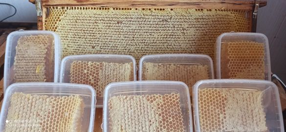 Пчелен мед и прашец