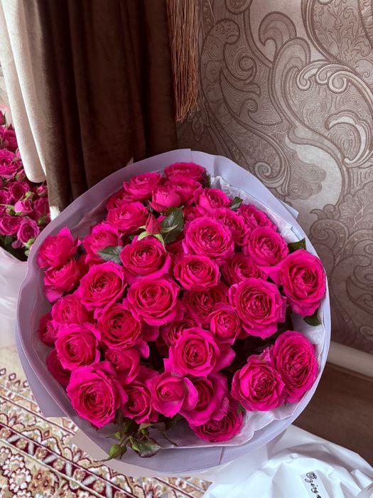 Свежие объемные 9,500