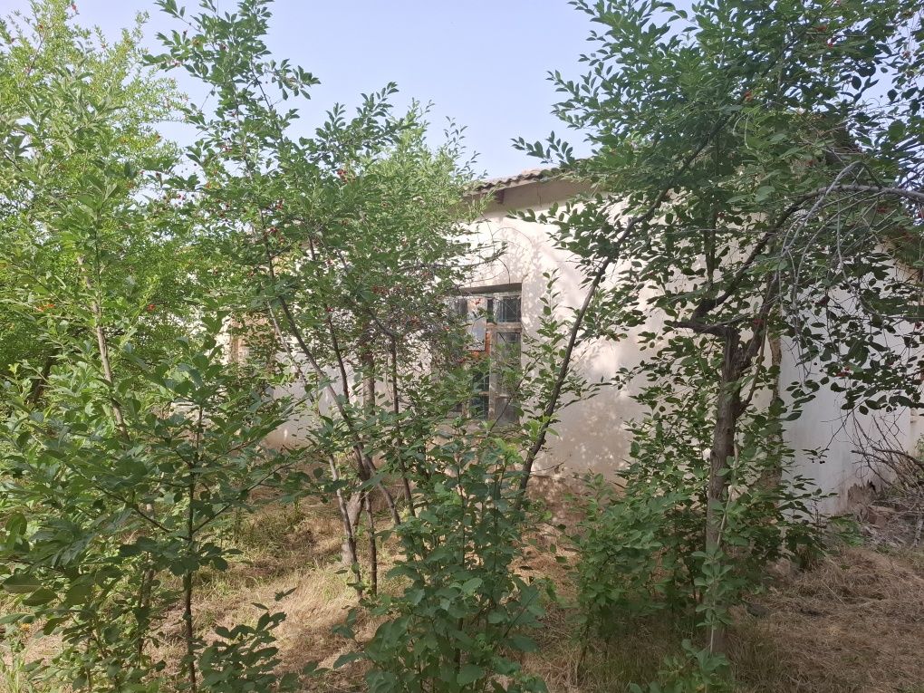 Сайроб МФЙ, Октом кучаси