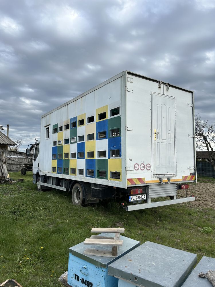 Vand camion Daf special (stupina)