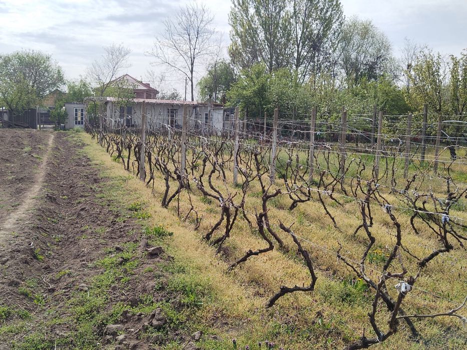 Vand , inchieiez casa gropeni