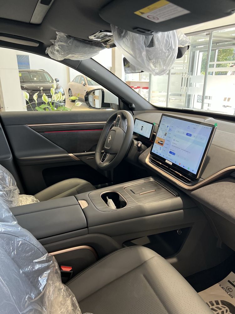 DONGFENG EP 008 Max 2025