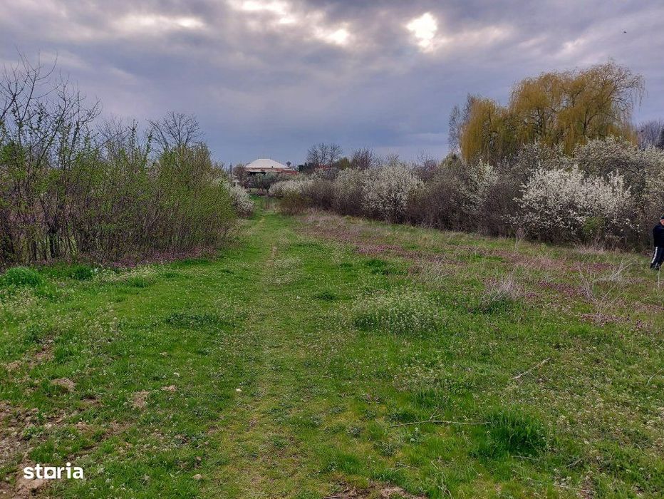 Teren Topoloveni - 3670 mp - langa padure, aproape de Centrul orasului