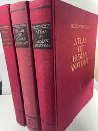 Atlas tratat medicina anatomie Sinelnikov vol 1 2 3 perfect nu SOBOTTA