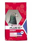 VL Hrana porumbei Gerry Plus IC 20 kg