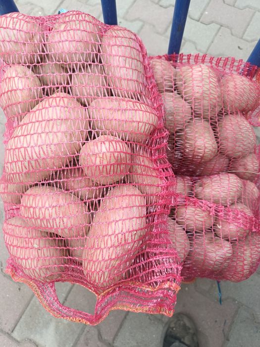 Cartofi albi și rosii