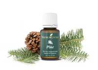 Pin (Pine) Ulei esential pur  - Young Living - 15 ml