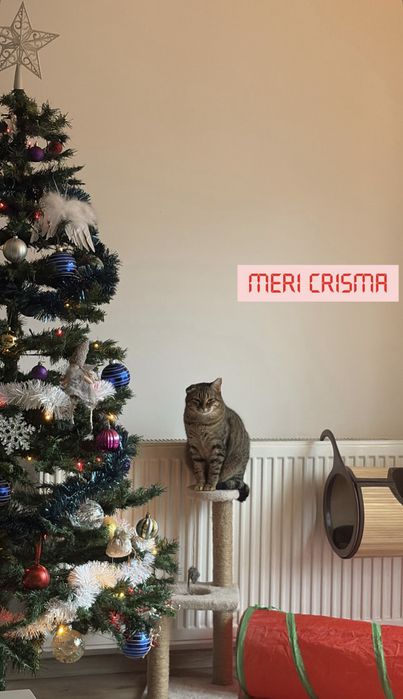 Brad de Craciun artificial 180cm