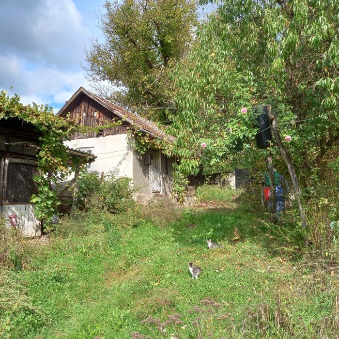 Casa de vanzare