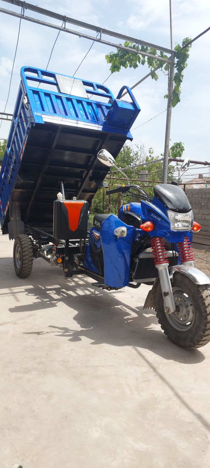 Xunjie XJ250ZH-2