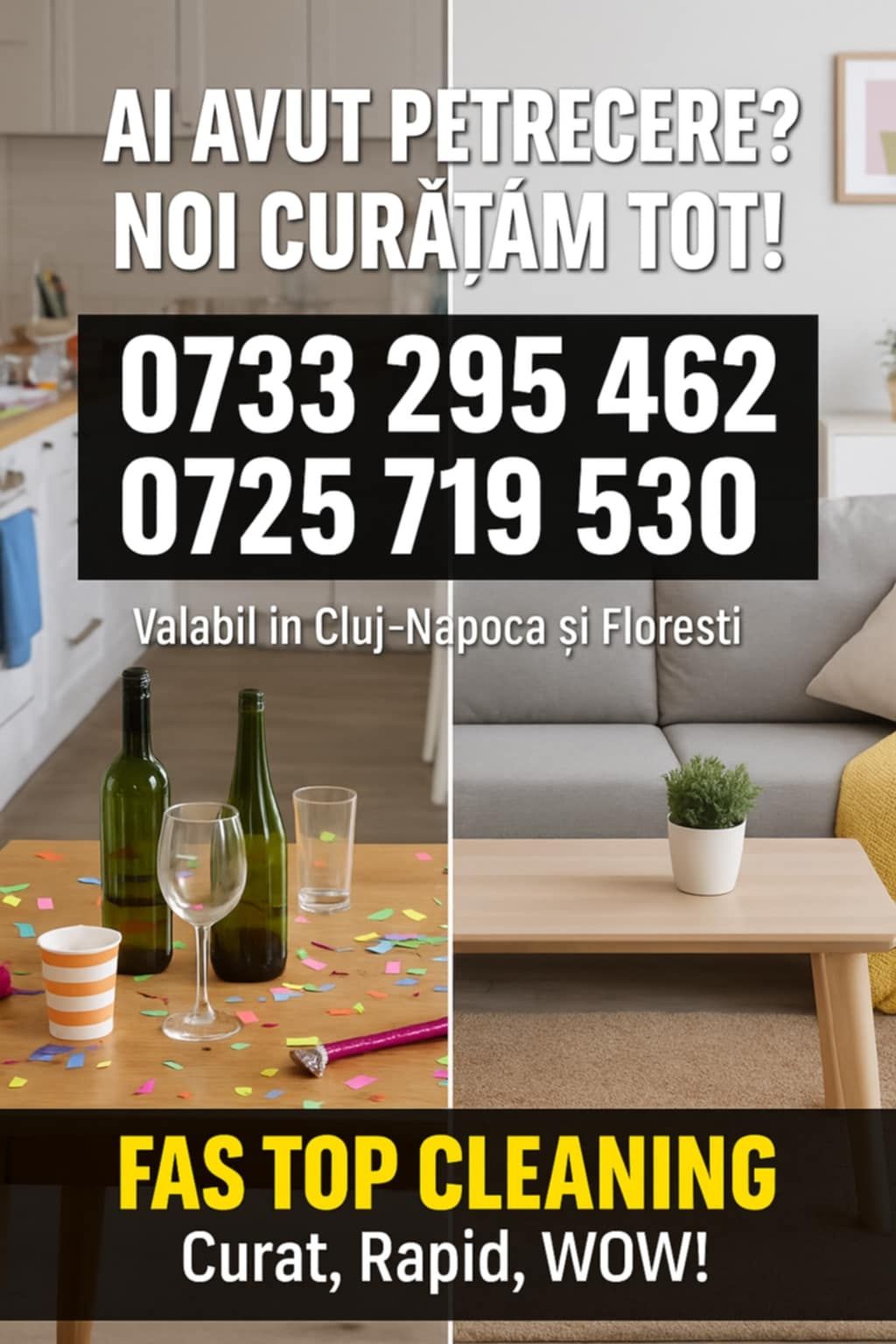 Curațenie după Petrecerii