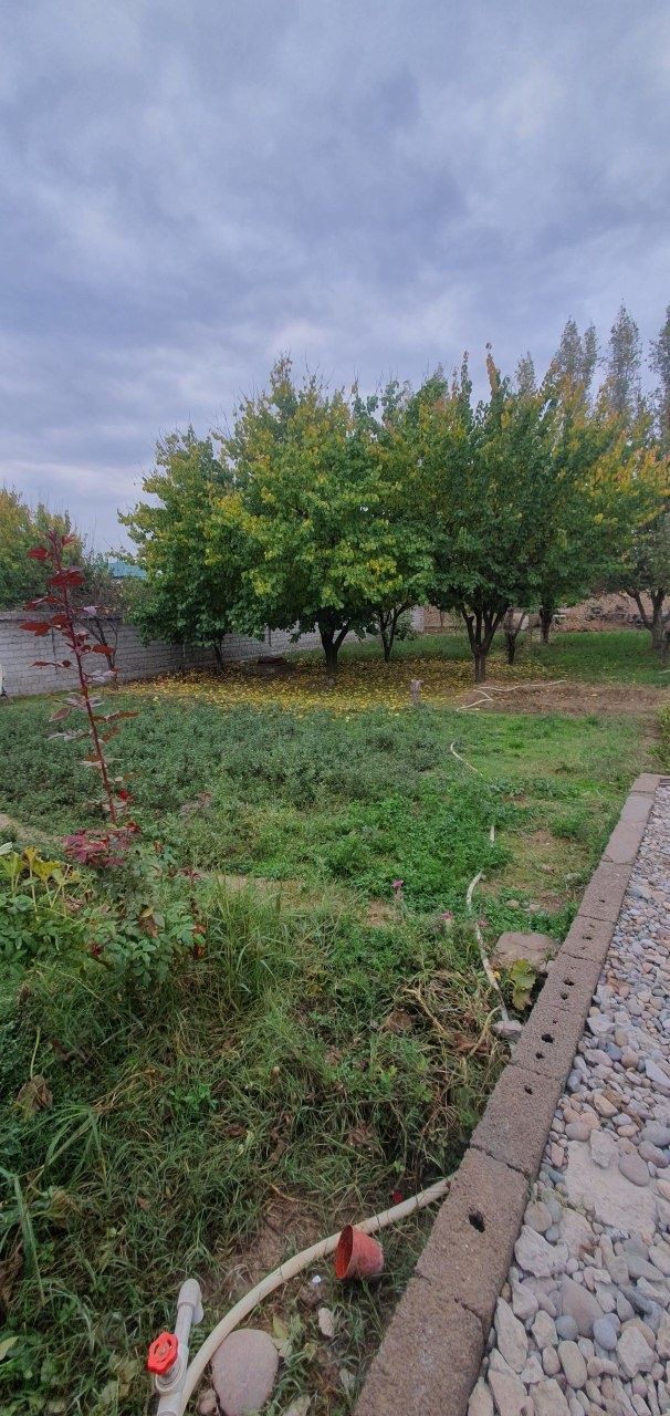 10 Сотх Ховли сотилади