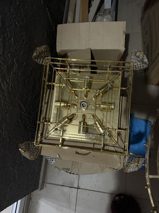 Лютсра большая квадратная