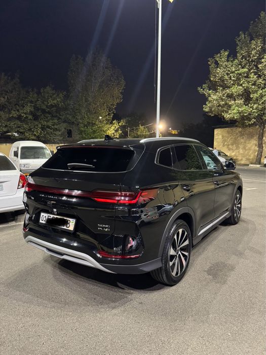 BYD chempion GIBRIT FULl