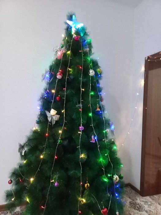 Арча сотилади.Янги холатда турибти.