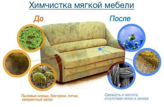 Химчистка мебели и ковров