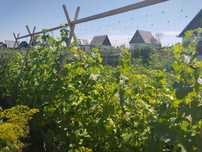 Продам дачу на федоровском водохранилище