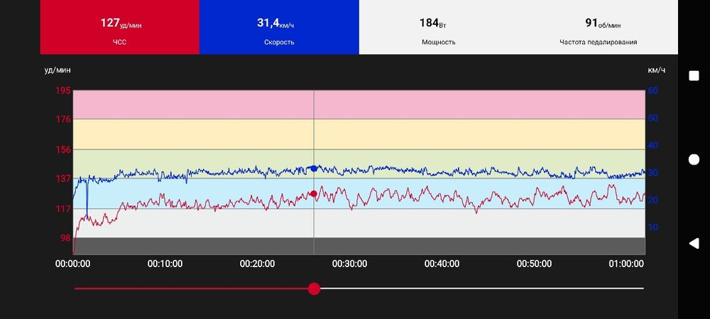 Полар H10 polar пульсометр