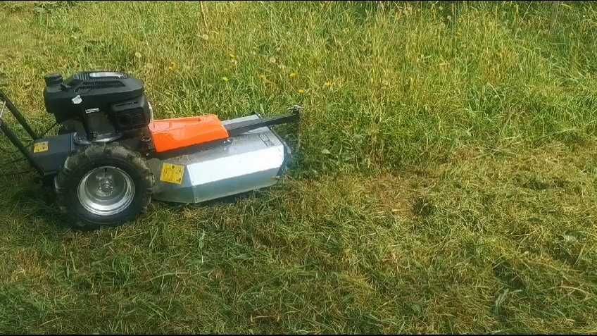 Curatare cosire defrisare gradina teren  cosit iarba tocare arbusti